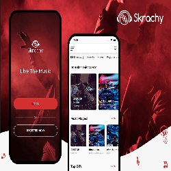 LIVE DJ Concerts App Development